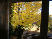 Blick im Herbst